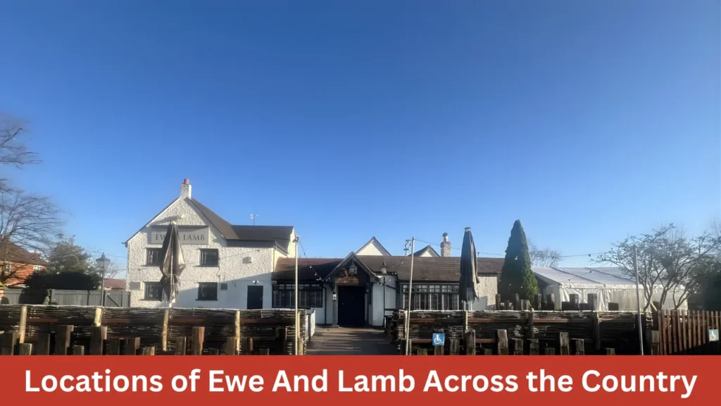 Locations of Ewe And Lamb Across the Country