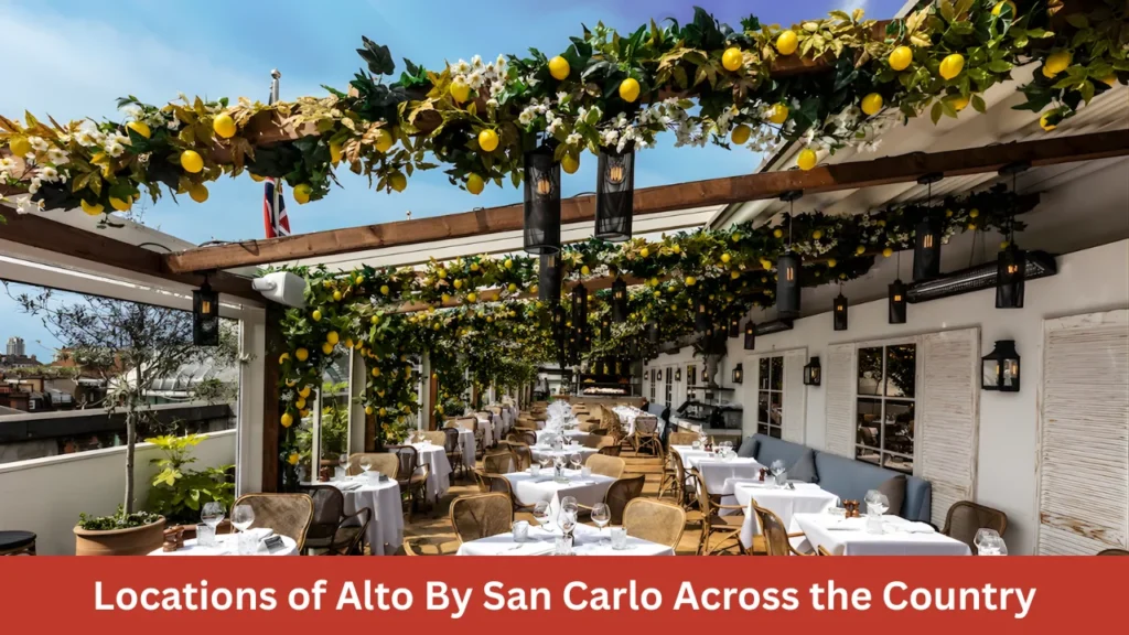 Locations of Alto By San Carlo Across the Country