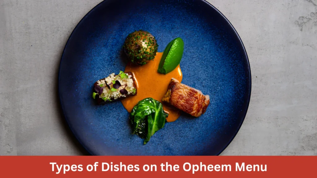 Types of Dishes on the Opheem Menu