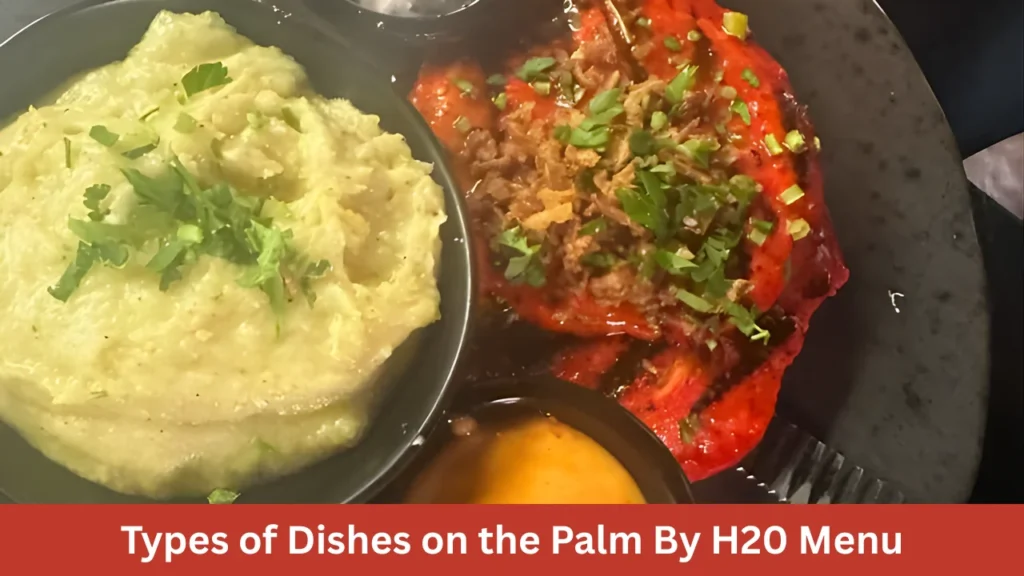 Types of Dishes on the Palm By H20 Menu