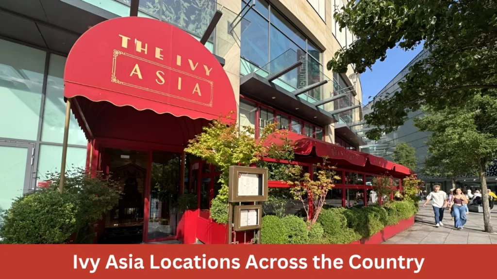 Ivy Asia Locations Across the Country